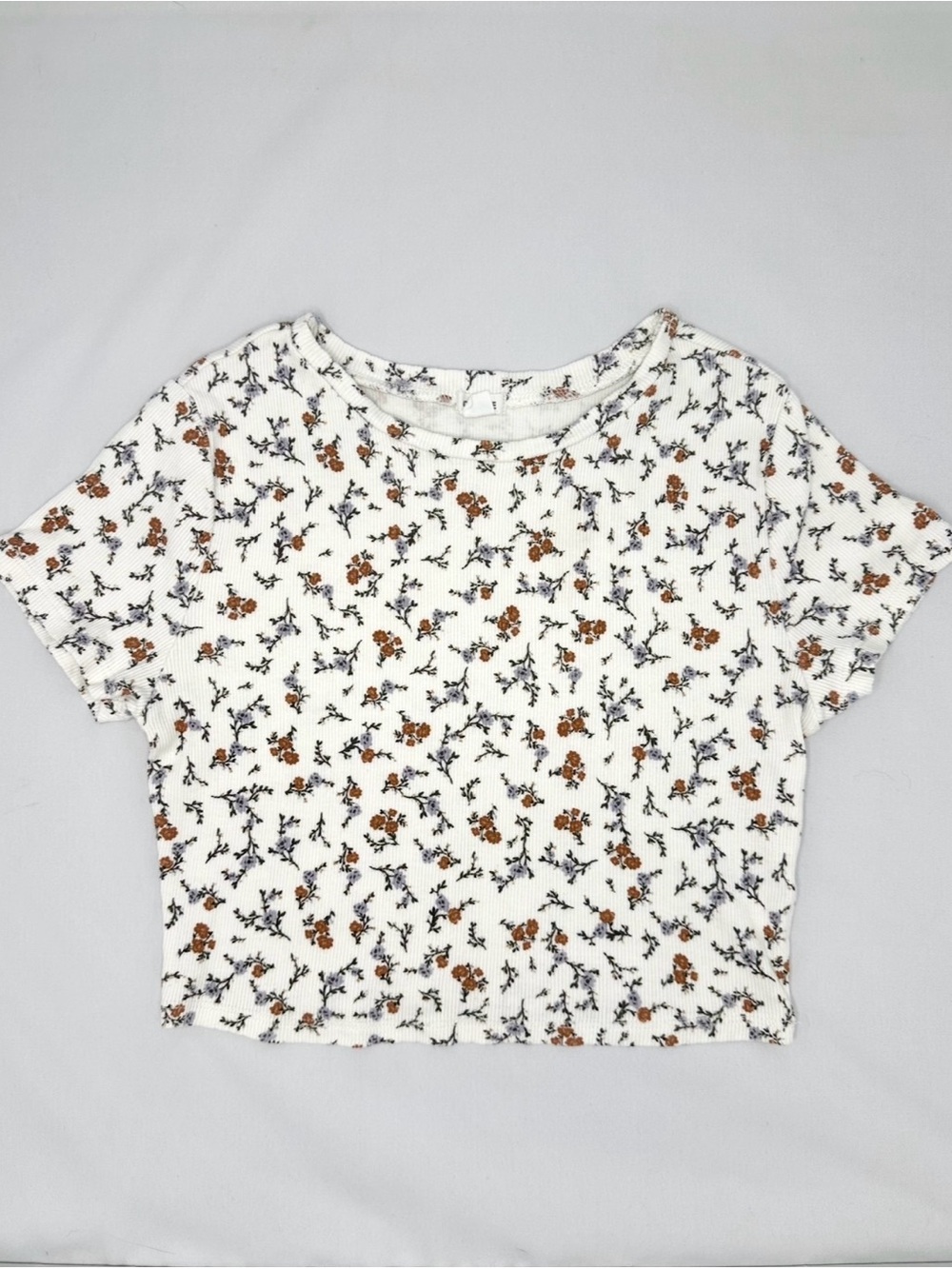 Garage Creme Floral Cropped Ribbed Tee
Women’s Medium